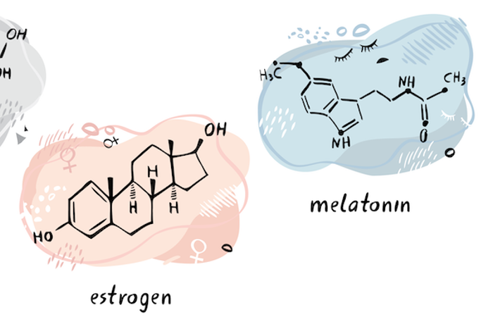 Hormone drawings.